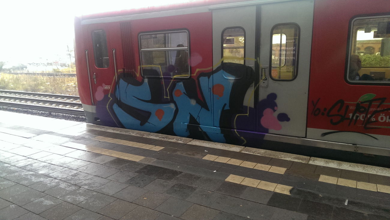 Graffiti Train - Photo by moschek - Sn (2016)