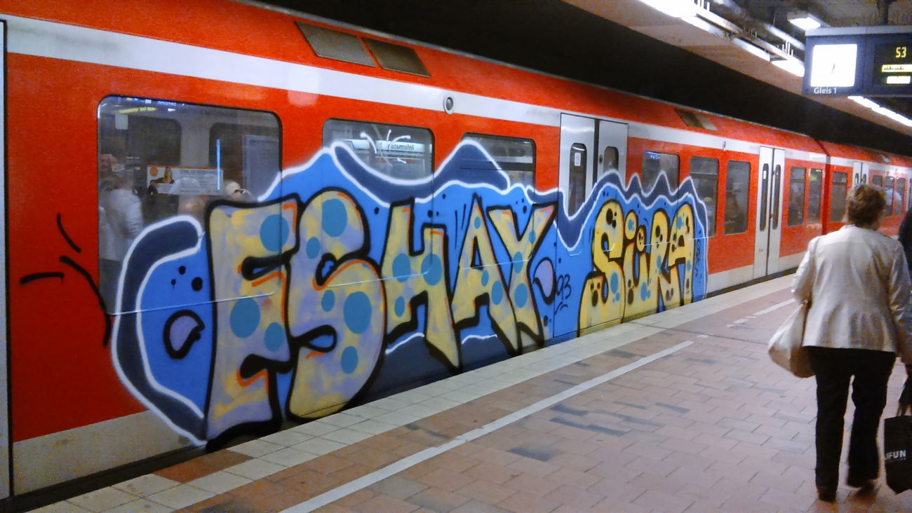 Graffiti Train in Wohnort - Photo by moschek - Eshay, süra, qms (2015)