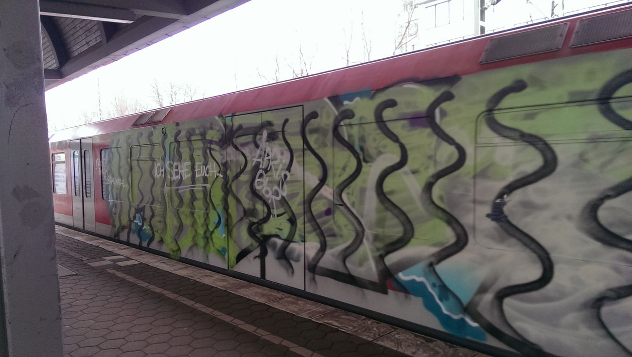 Graffiti Train - Photo by moschek (2017)