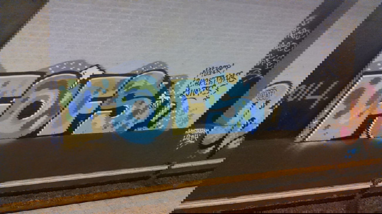 Graffiti Bombing in Amsterdam - Photo by moschek - fofs (2014)