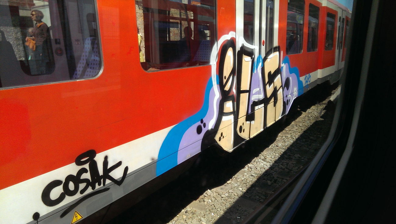 Graffiti Train - Photo by moschek (2017)
