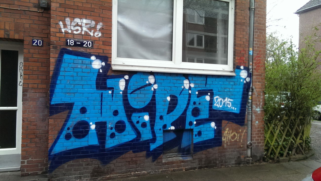 Graffiti Bombing in Hamburg - Photo by moschek - Hipe, hsr (2015)