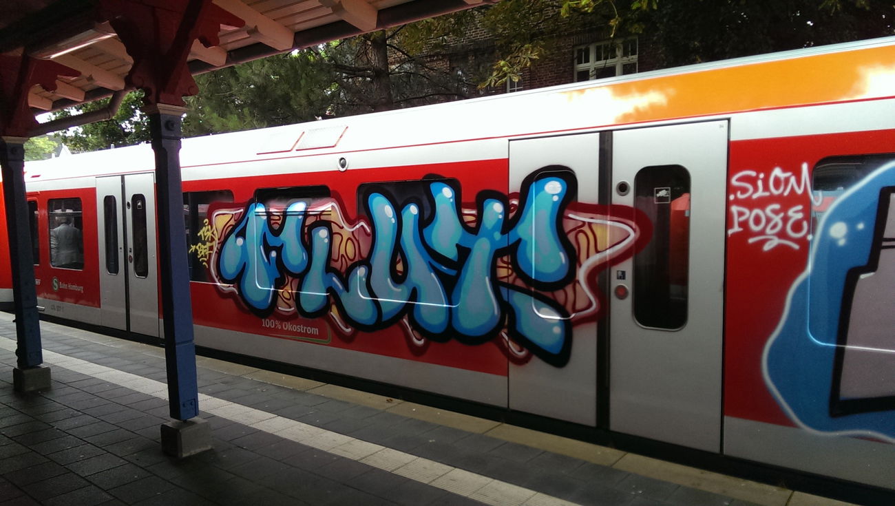 Graffiti Train - Photo by moschek - Flut (2017)