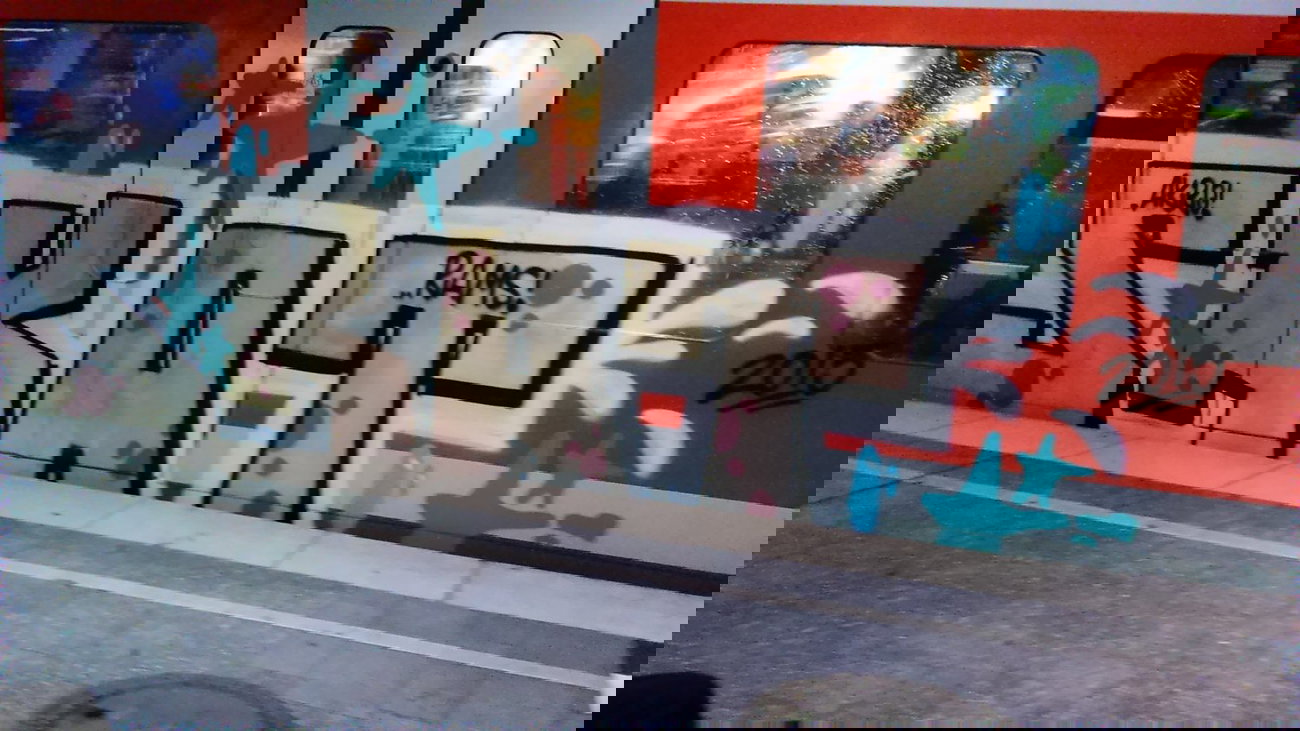 Graffiti Train - Photo by moschek - skat