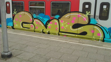 Graffiti Train - Photo by moschek - gms (2015)