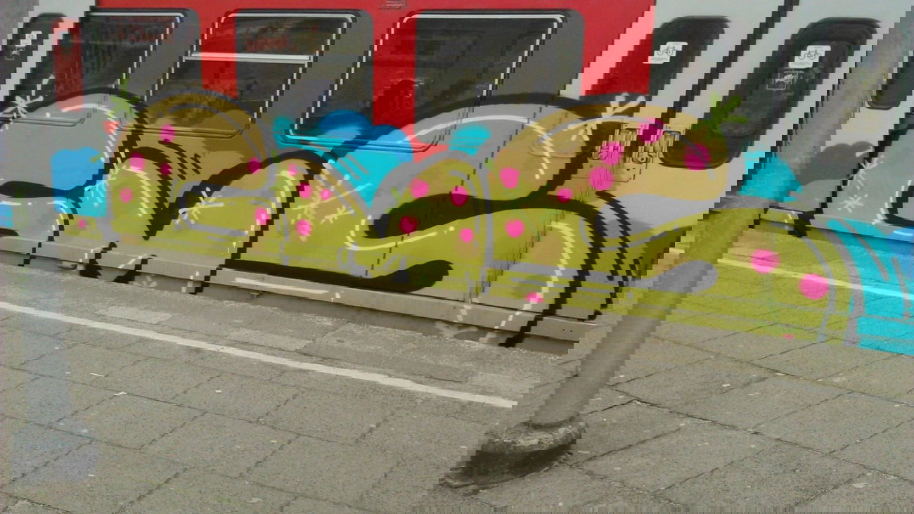 Graffiti Train - Photo by moschek - gms (2015)