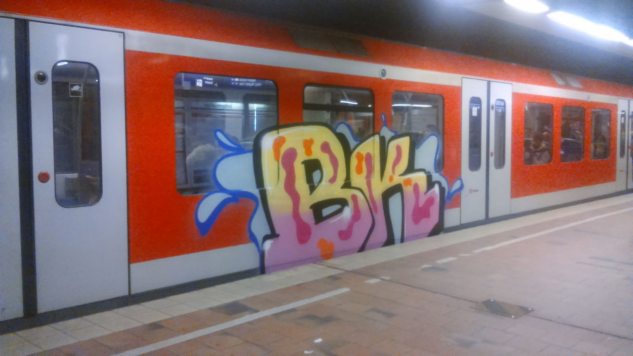 Graffiti Train in Wohnort - Photo by moschek - Bk (2015)