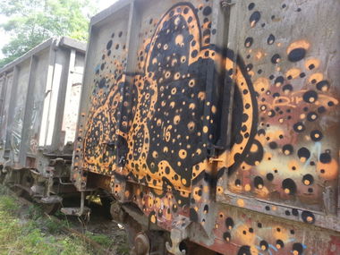 Graffiti Train - Photo by moschek