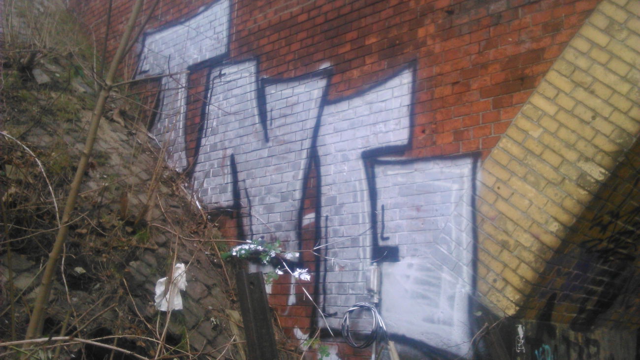 Graffiti Bombing in Hamburg  - Photo by moschek - Tng (2015)