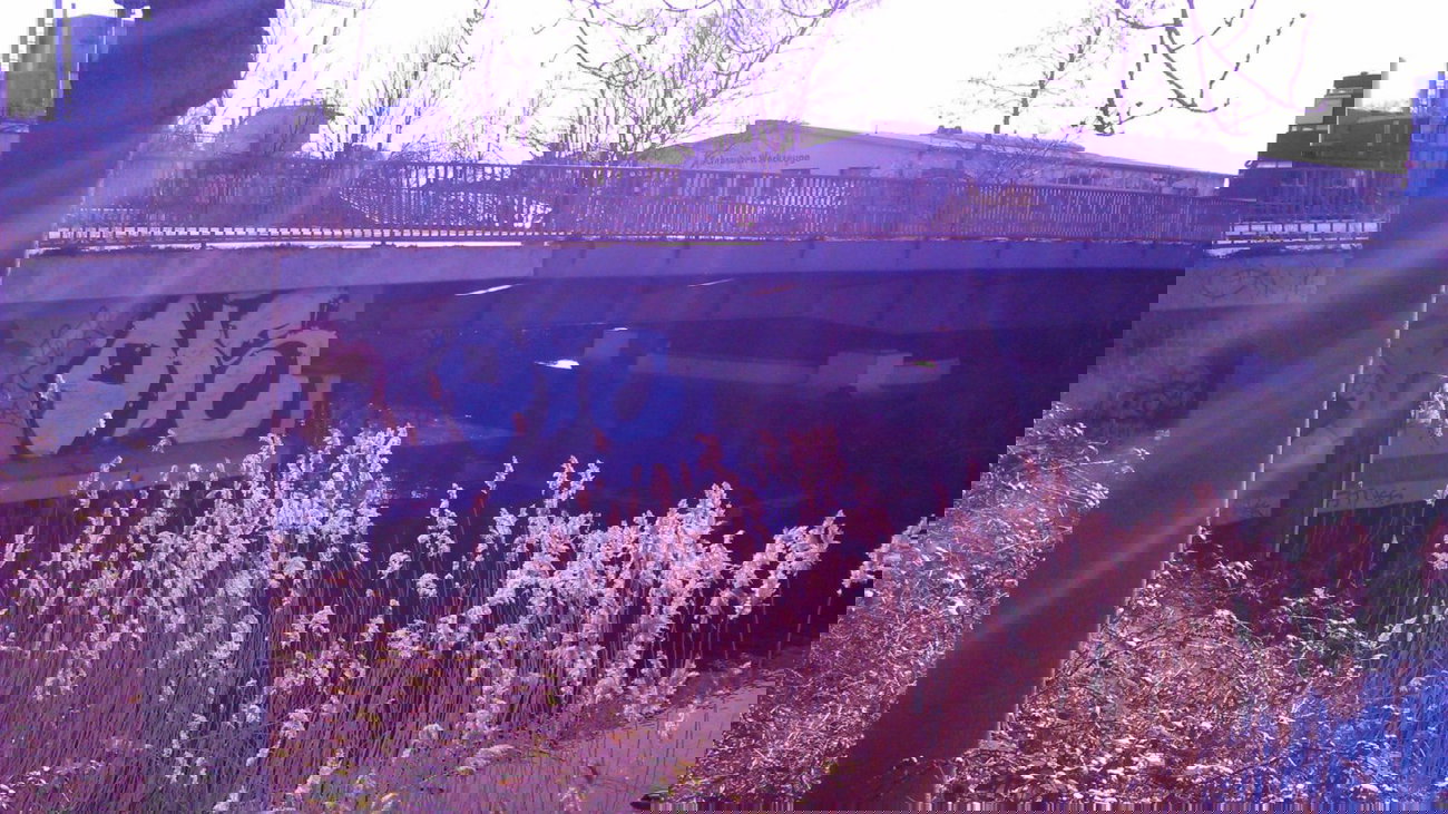 Graffiti Bombing in Hamburg - Photo by moschek - ois