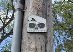 Photo #101043 by Belt