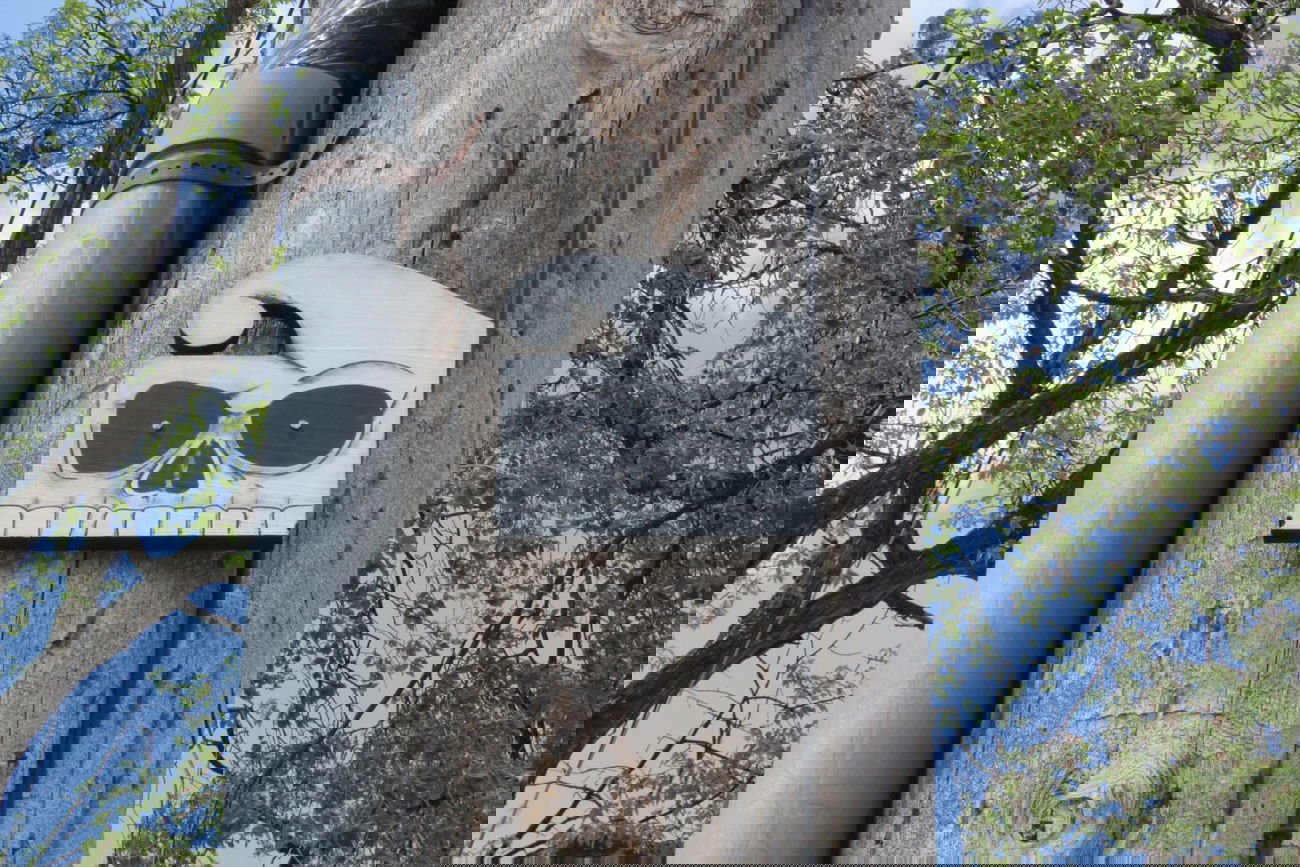 Graffiti Street Art in Winnipeg - Photo by mouthful - mouthful (2014)