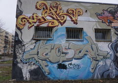 Photo #205424 by Belt