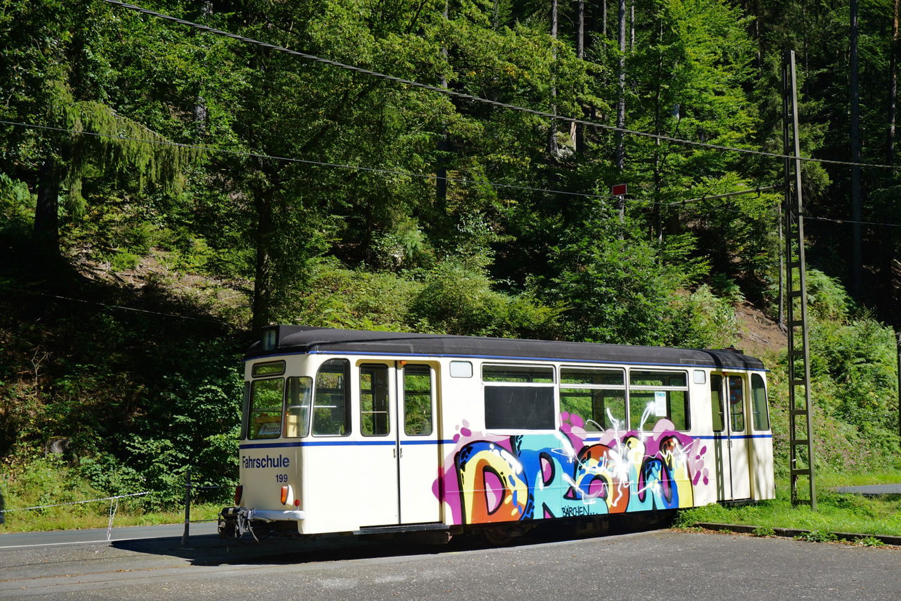 Graffiti Train in Bad schandau - Photo by mttlfngr - drow (2016)