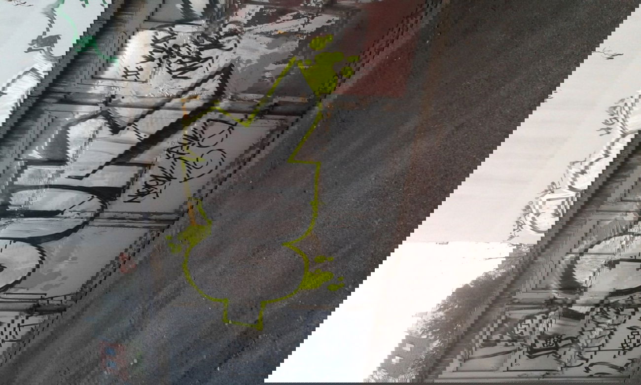 Graffiti Bombing - Photo by mucke