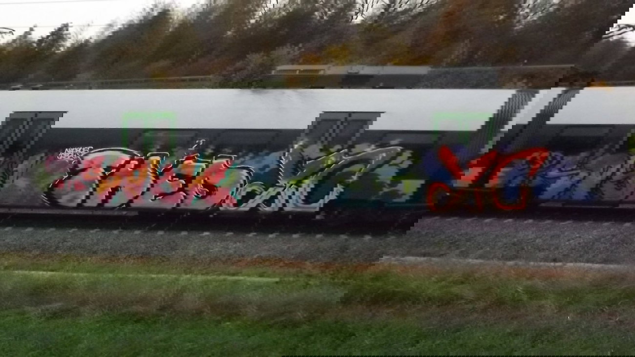 Graffiti Train - Photo by mumpitz - Nachos, Theo