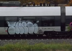 Photo #125987 by Nets1