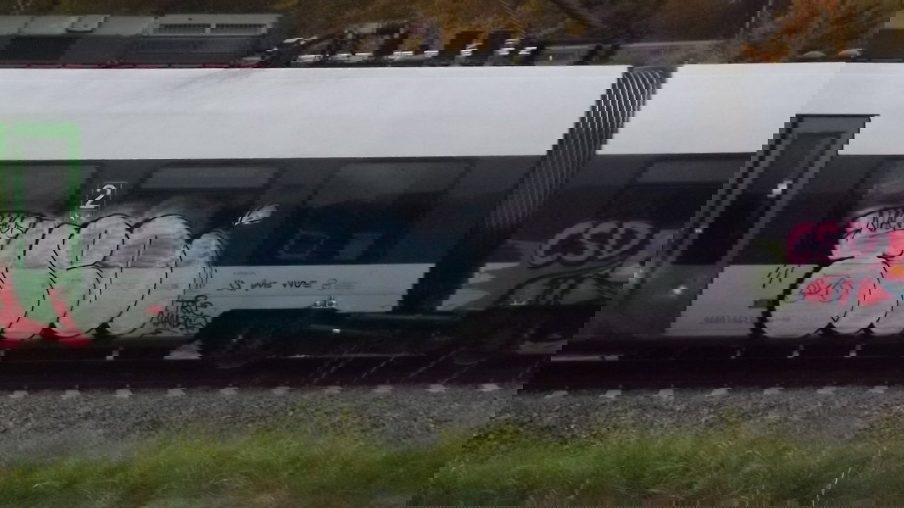 Graffiti Train - Photo by mumpitz - Nachos, Theo