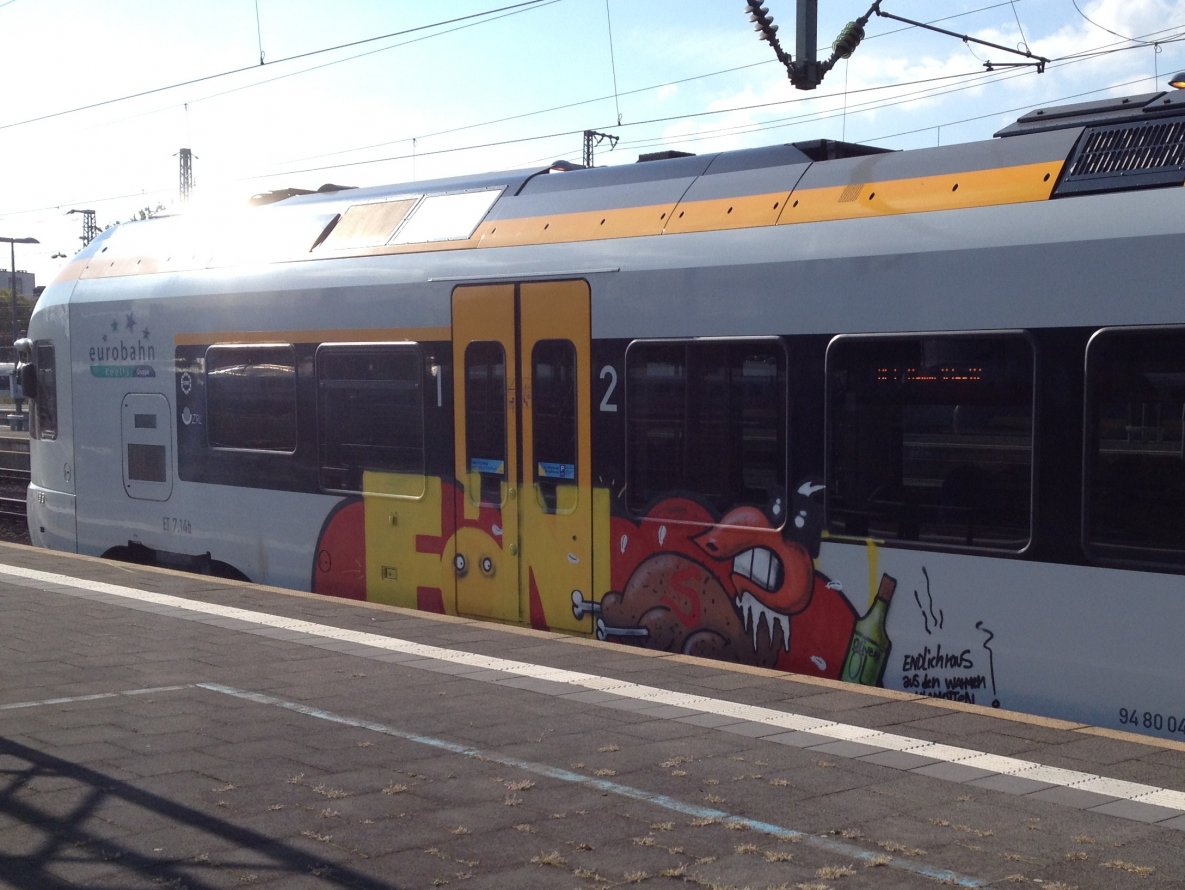 Graffiti Train - Photo by mutespottah (2013)