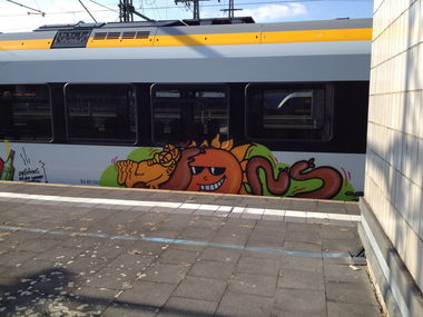 Graffiti Train - Photo by mutespottah (2013)