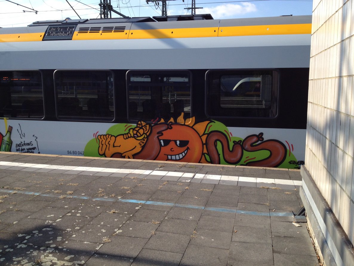 Graffiti Train - Photo by mutespottah (2013)