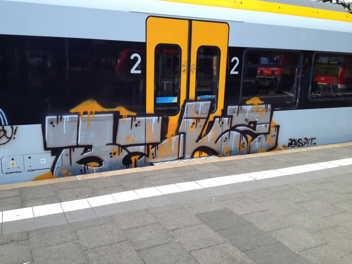 Graffiti Train - Photo by mutespottah (2013)