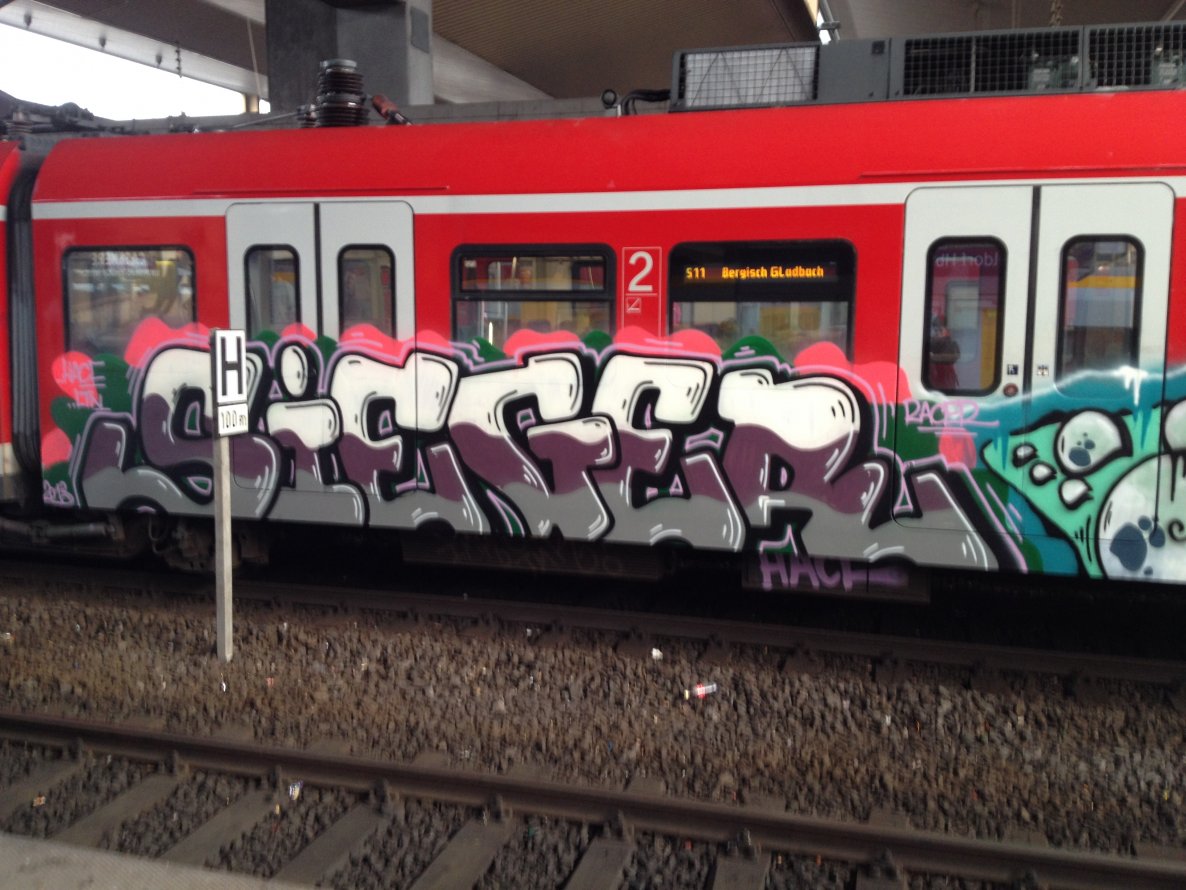 Graffiti Train - Photo by mutespottah (2013)
