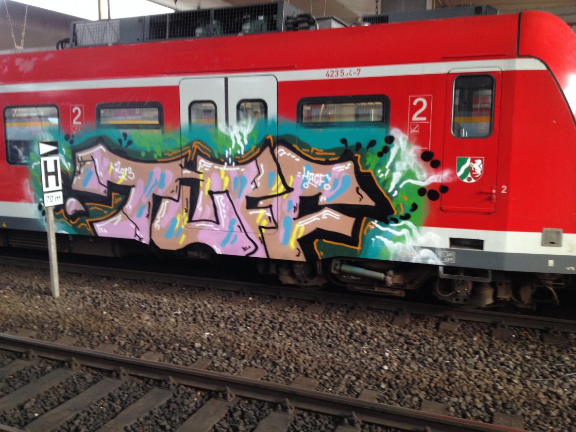 Graffiti Train - Photo by mutespottah (2013)