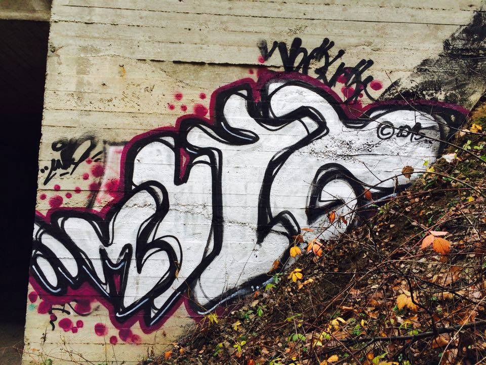 Graffiti Wall - Photo by muzg