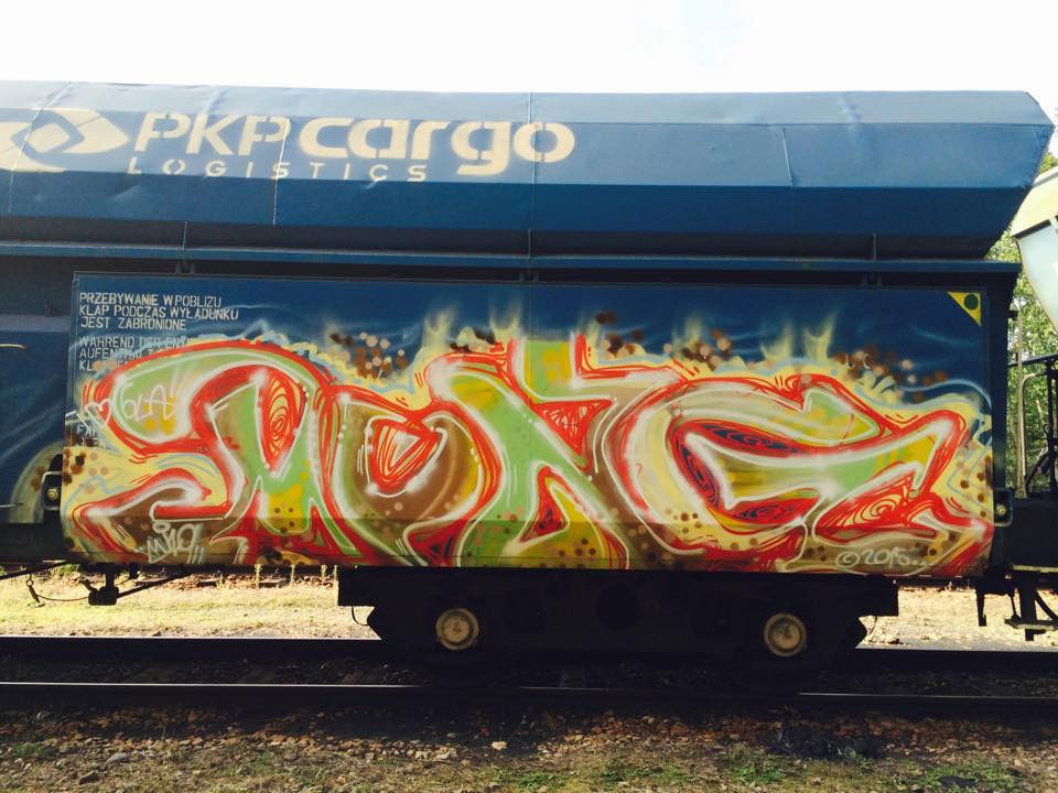 Graffiti Train - Photo by muzg