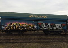 Photo #183680 by alcer