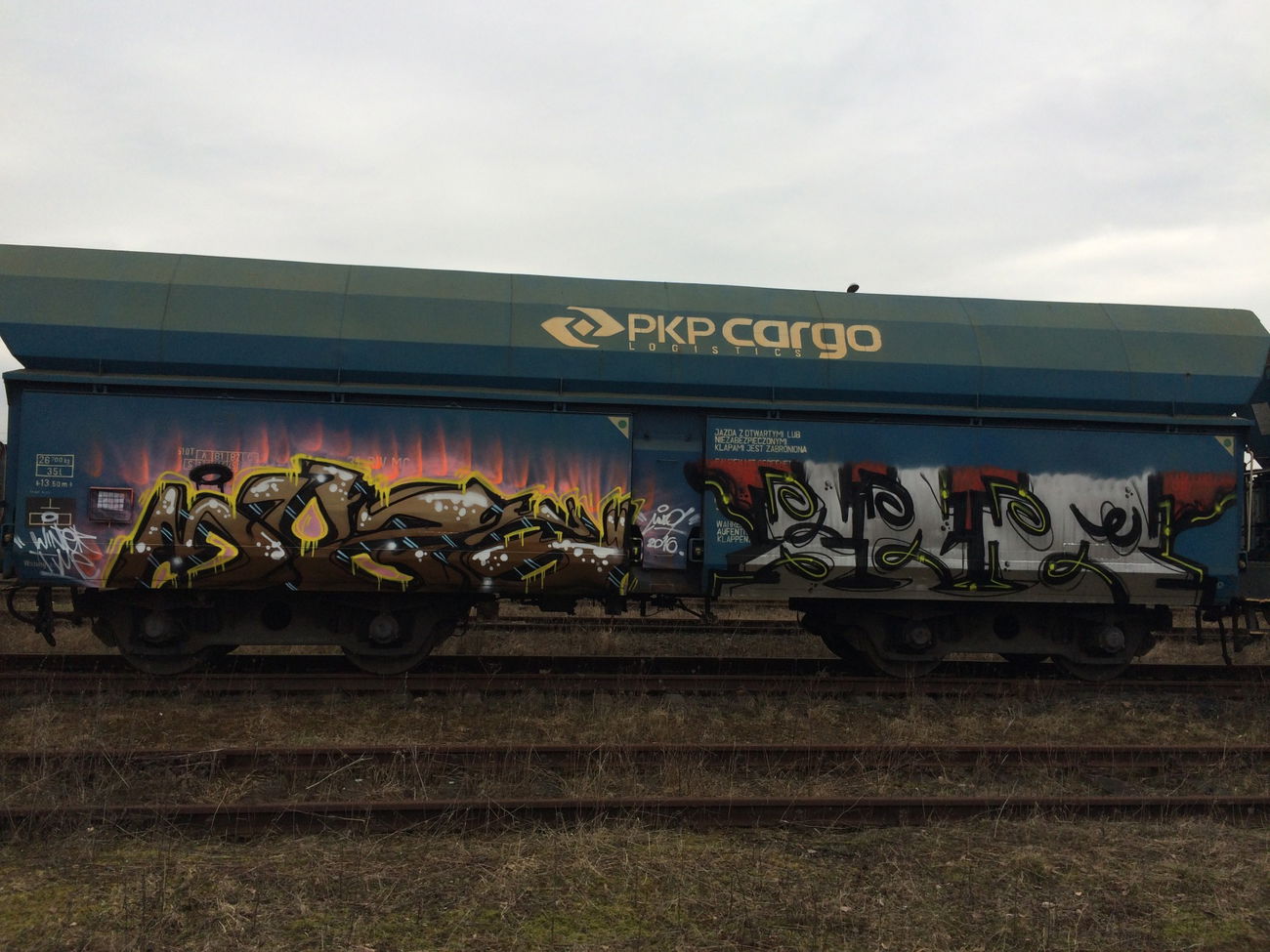 Graffiti Train - Photo by muzg