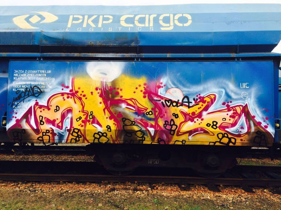 Graffiti Train - Photo by muzg