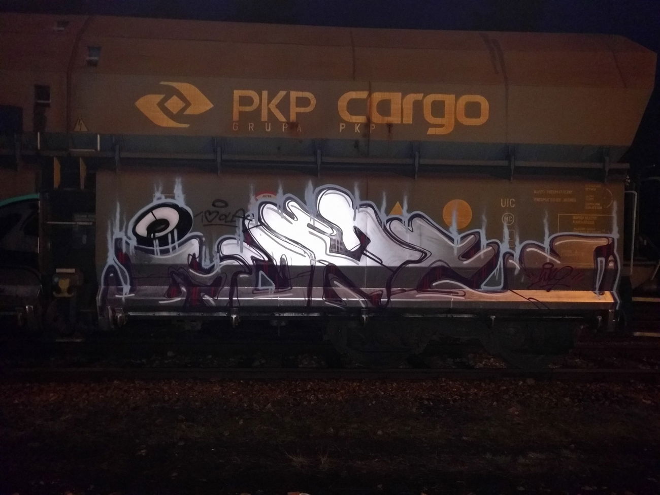 Graffiti Train - Photo by muzg