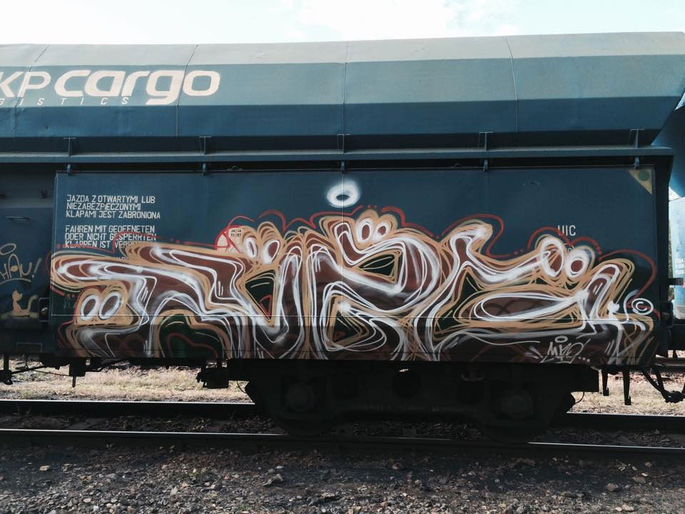 Graffiti Train - Photo by muzg