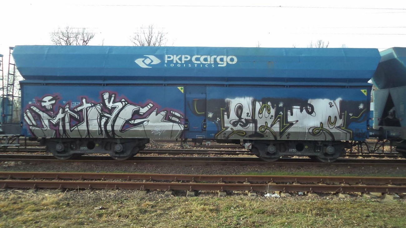 Graffiti Train - Photo by muzg