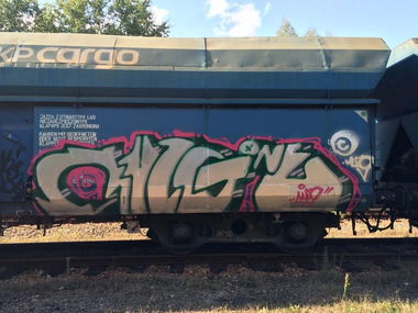 Graffiti Train - Photo by muzg