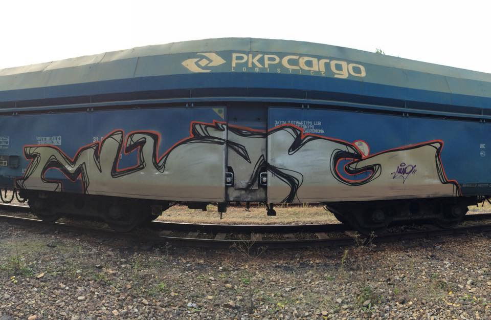 Graffiti Train - Photo by muzg
