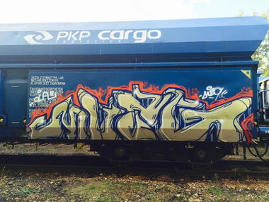 Graffiti Train - Photo by muzg (2015)