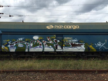 Graffiti Train - Photo by muzg