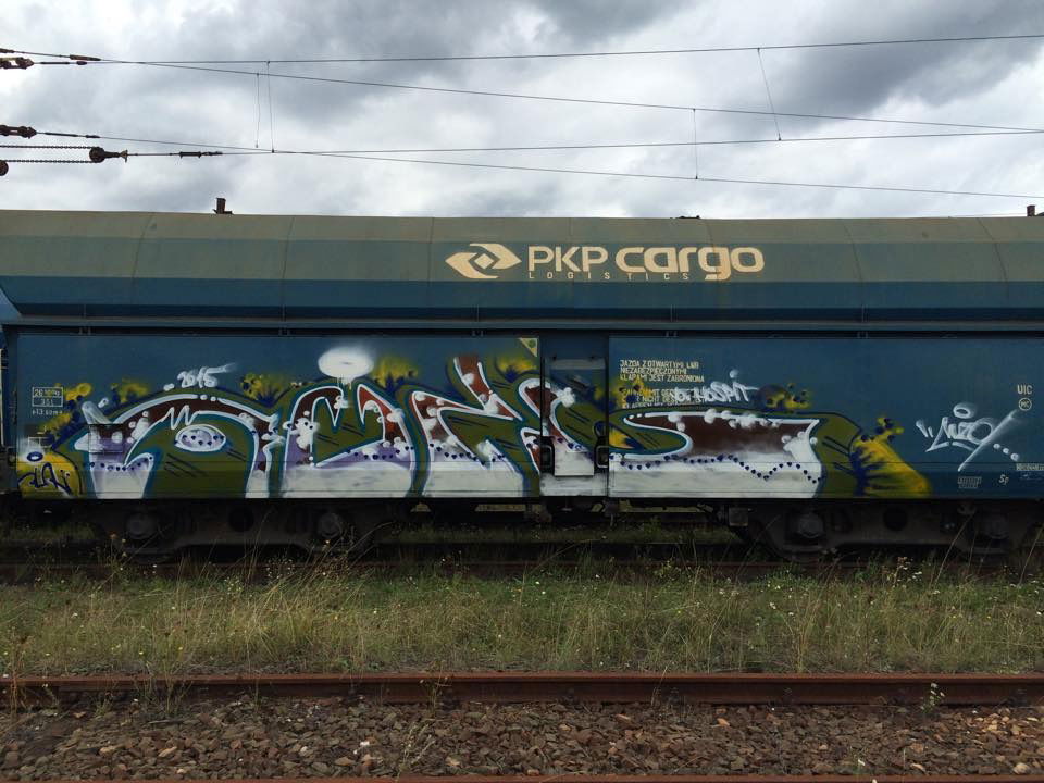 Graffiti Train - Photo by muzg