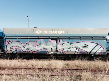 Graffiti Train - Photo by muzg