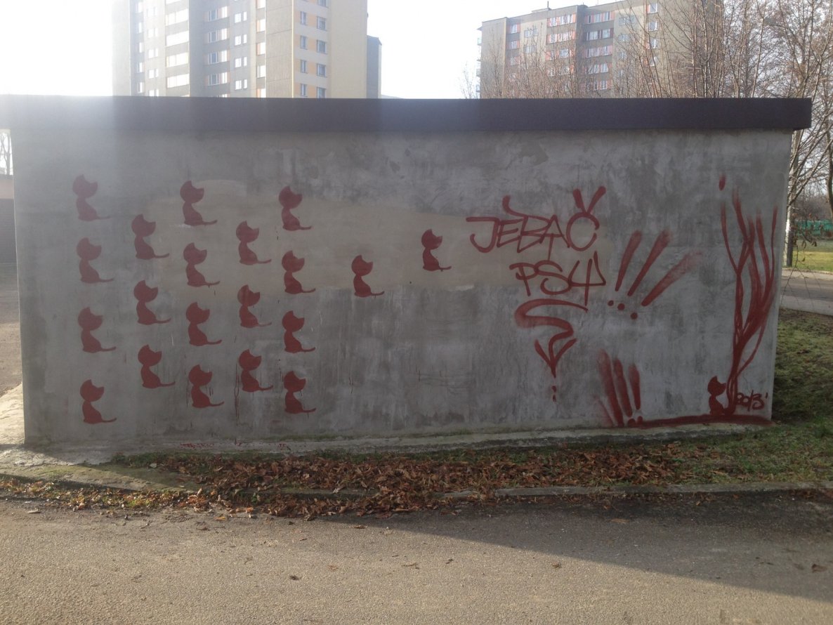 Graffiti Wall - Photo by muzg