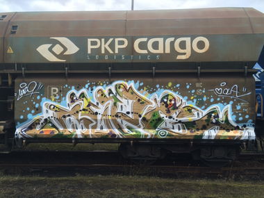 Graffiti Train - Photo by muzg