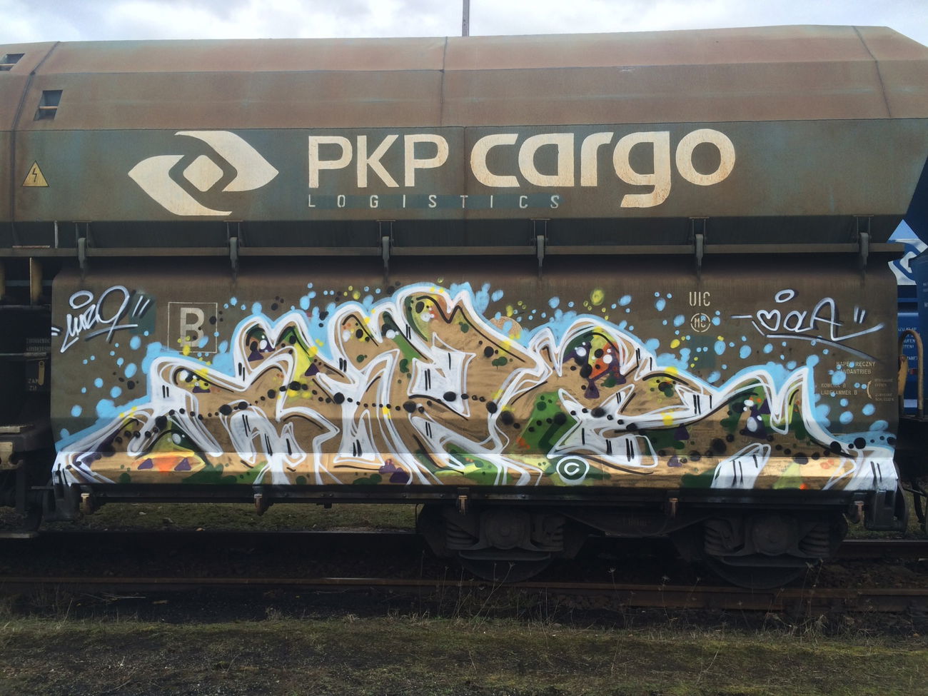 Graffiti Train - Photo by muzg