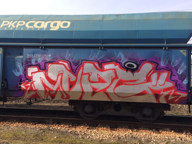 Graffiti Train - Photo by muzg