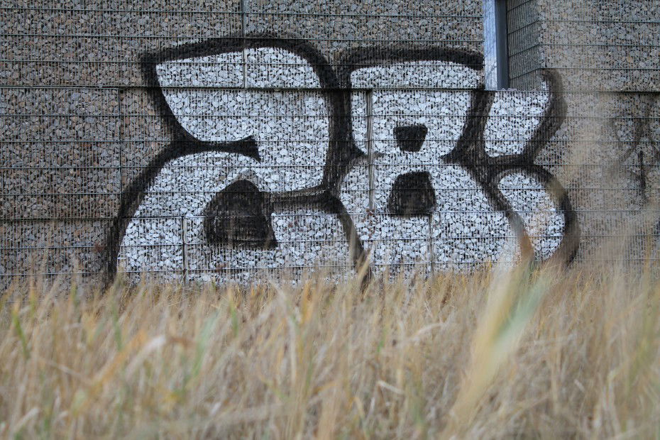 Graffiti Bombing in Karlsruhe - Photo by myGuns - (28) (2012)