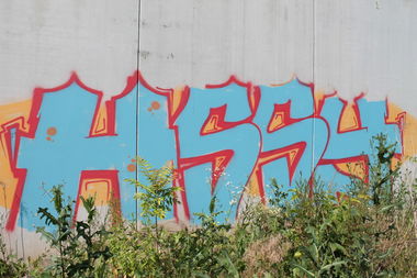 Graffiti Bombing - Photo by myGuns - (hssy) (2013)