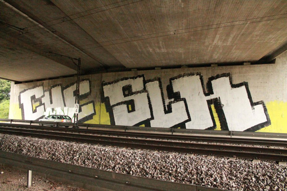 Graffiti Bombing - Photo by myGuns - (CHESLK) (2012)
