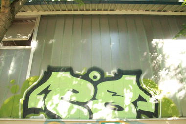 Graffiti Bombing - Photo by myGuns - (28) (2013)